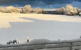 Seeblick Bodensee 6 Free parking Free internet